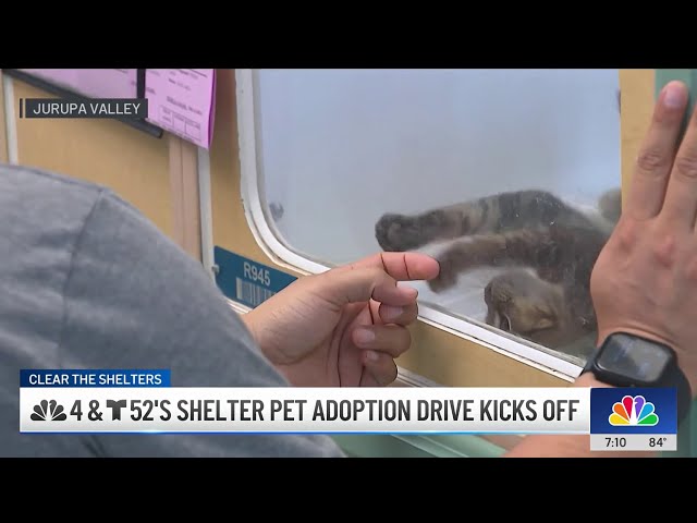 ⁣Families in Jurupa Valley adopt new pets with Clear the Shelters' waived fees