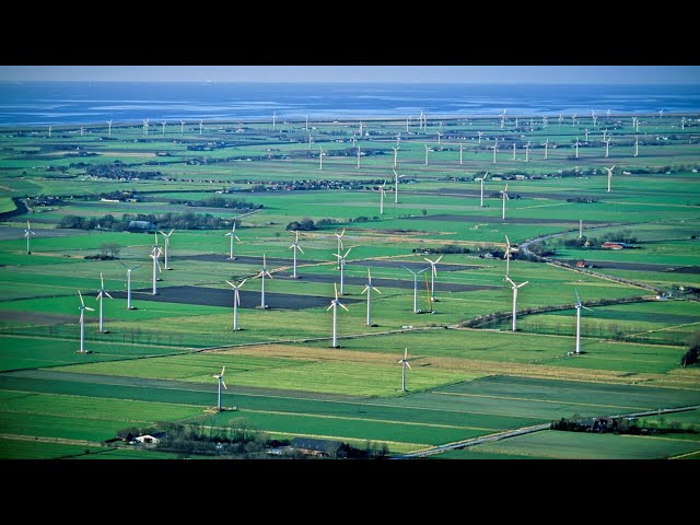 ‘Not climate action, but biodiversity vandalism’: Environmentalist calls out wind farm hypocrisy