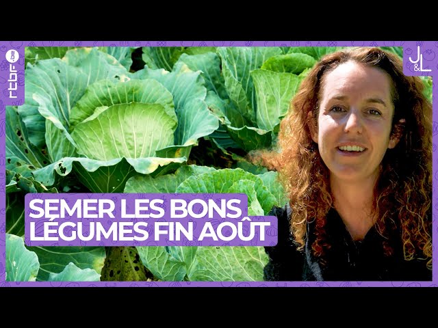 ⁣Semer les bons légumes fin août dans votre potager | Jardins et Loisirs