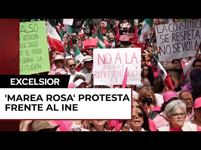 Afines a Marea Rosa se manifiestan en INE por sobrerrepresentación