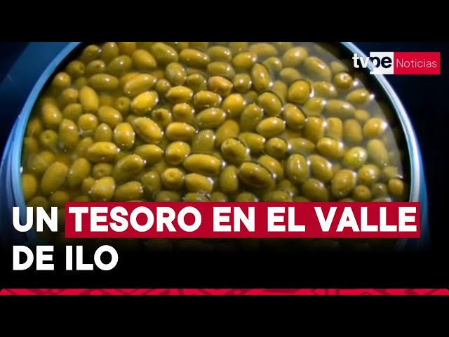 ⁣La cuna del olivo en Perú: ¿dónde se producen una de las mejores aceitunas y aceites de oliva?