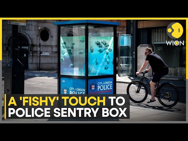 ⁣Banksy unveils seventh artwork in a week on a Police Sentry Box | WION