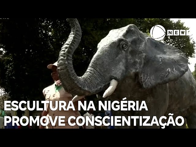 ⁣Escultura de elefante na Nigéria ajuda no combate ao contrabando animal