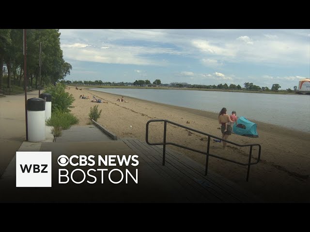 ⁣Department of Public Health closes dozens of Massachusetts beaches due to bacteria