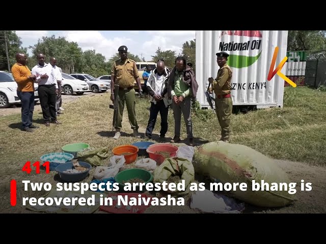 ⁣Two suspects arrested as more bhang is recovered in Naivasha