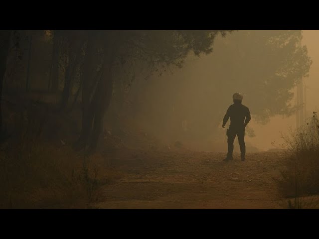 25 Meter hohe Flammen: Waldbrand bei Athen außer Kontrolle