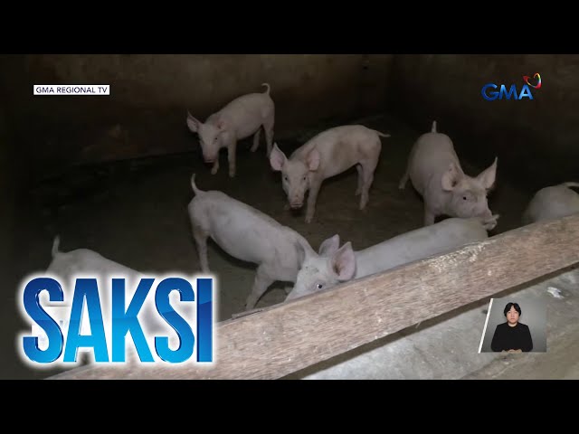 ⁣DA, walang nakikitang problema sa supply ng karneng baboy; wala ring dahilan para... | Saksi