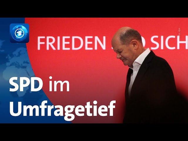 ⁣Schlechte Umfragewerte: Warum die SPD im Osten schlecht ankommt