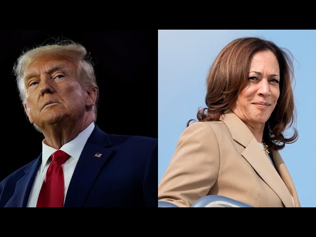 US media push Kamala Harris to deliver ‘anything but a Trump victory’