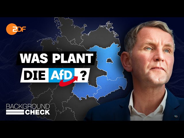 ⁣AfD an der Macht: Und dann? | Backgroundckeck