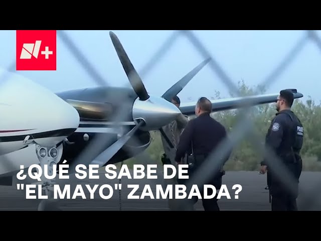 Crónica sobre la detención de Ismael ‘El Mayo’ Zambada - Despierta