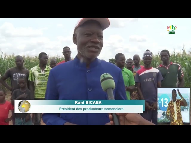 ⁣Campagne agricole dans la Boucle du Mouhoun: près de 12 000 tonnes de céréales attendues