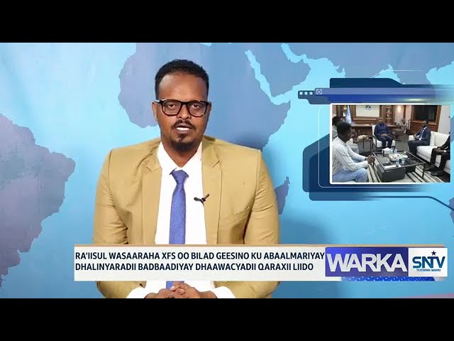 WARKA HABEEN EE SNTV 12.08.2024