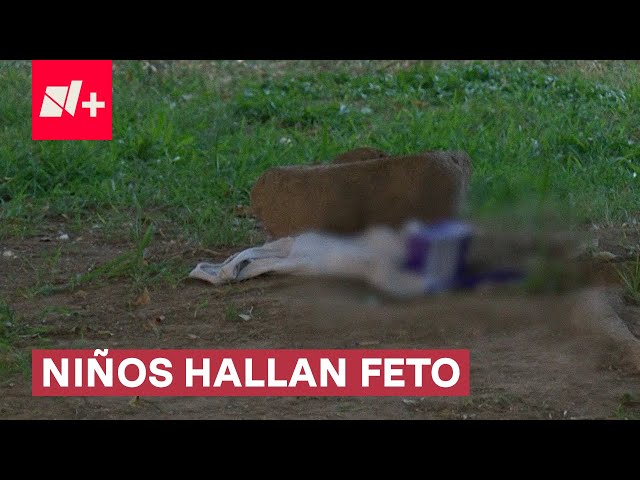 ⁣Niños hallan feto mientras jugaban en un parque de Chihuahua - N+