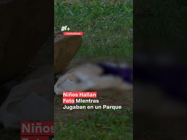 ⁣Niños hallan feto mientras jugaban en un parque de Chihuahua - N+ #shorts