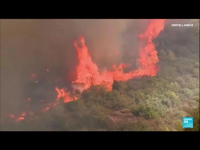 ⁣Athènes menacée par les flammes, la Grèce appelle l'UE à l'aide • FRANCE 24