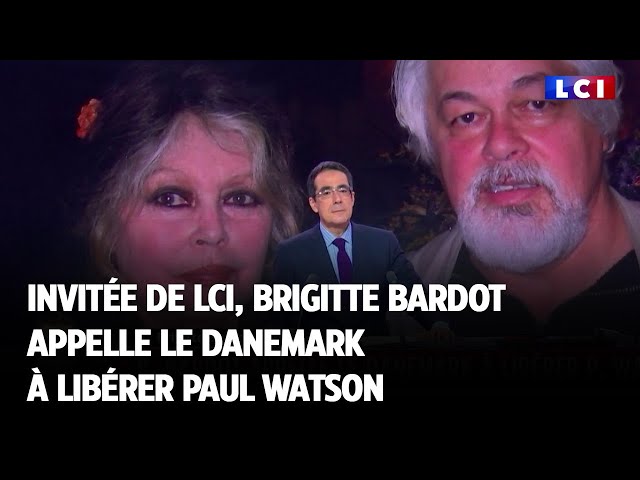 Invitée de LCI, Brigitte Bardot appelle le Danemark à libérer Paul Watson