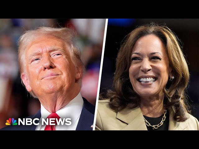 ⁣Harris’ favorability skyrockets as 2024 race increasingly becomes ‘referendum on Trump’