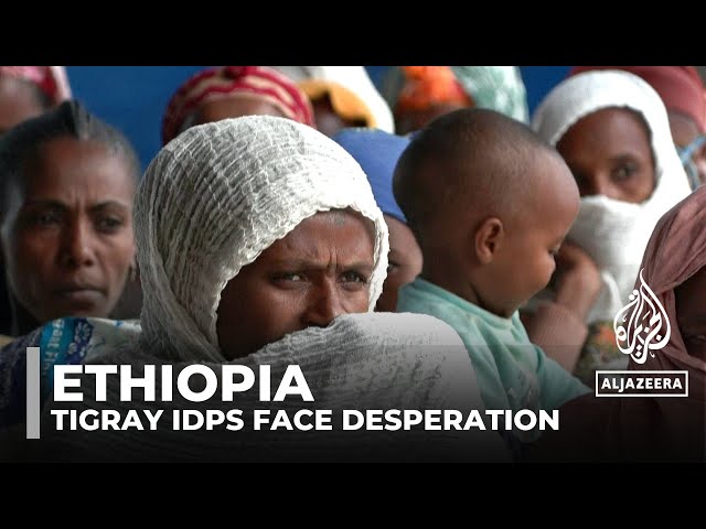 Ethiopia's Tigray IDPs face desperation: Aid scarce and families struggle amid ongoing tensions