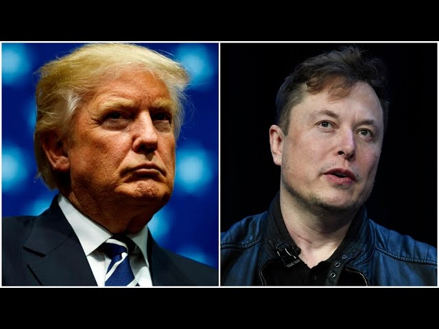 Donald Trump opens up during interview with Elon Musk on X