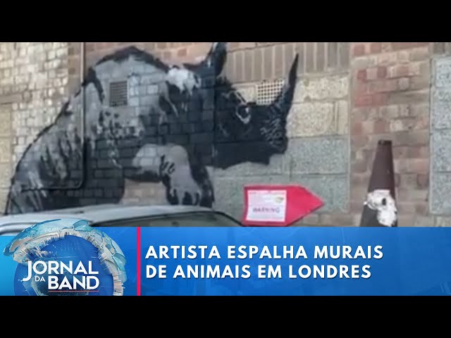 Artista de rua espalha murais de animais em Londres, na Inglaterra | Jornal da Band