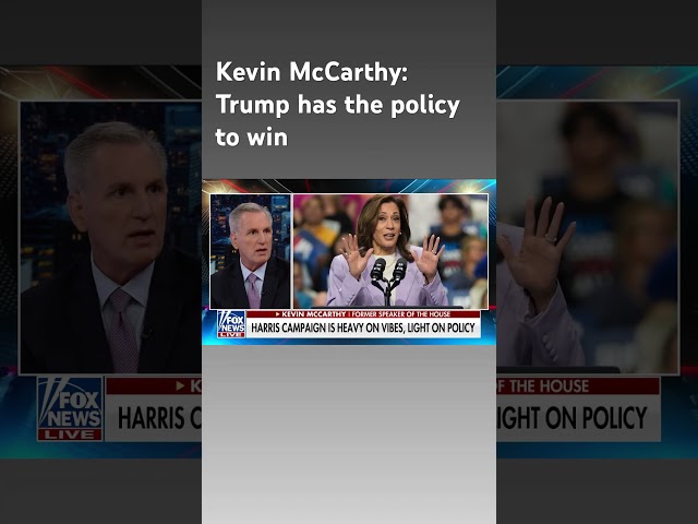 ⁣Kevin McCarthy: The best definition of Kamala is 'Kamala chameleon' #shorts