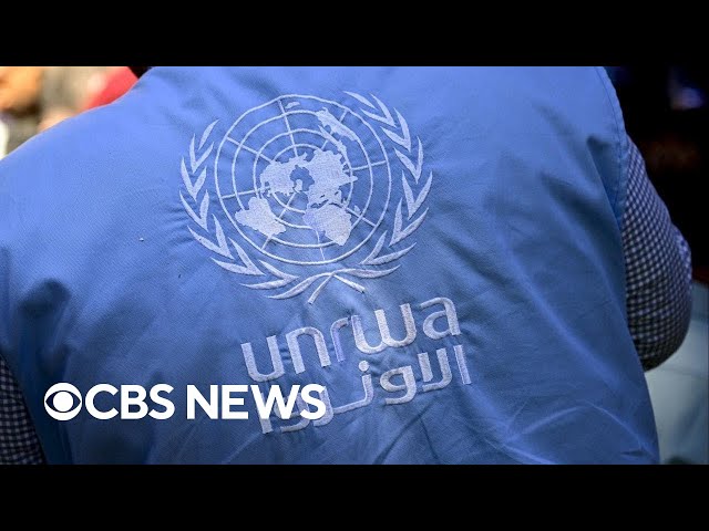 ⁣UNRWA's Gaza director on worsening humanitarian crisis