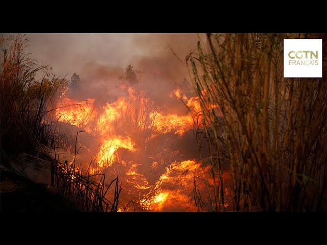 ⁣Grèce : Nouvelles évacuations en raison de violents incendies