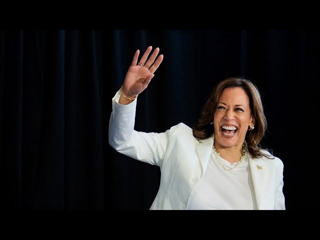 Kamala Harris in the ‘perfect situation’ by avoiding interviews