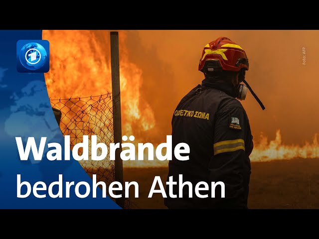 ⁣Tausende Evakuierungen: Kampf gegen Waldbrände in Griechenland