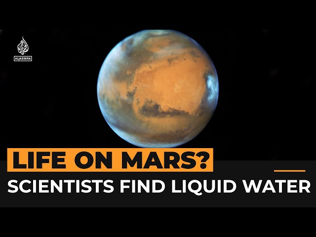 Scientists find liquid water on Mars | Al Jazeera Newsfeed