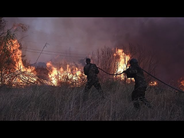 Incendies : les pays européens s'unissent pour venir en aide à la Grèce et à l'Albanie