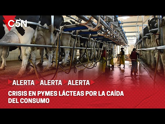 ⁣DESPLOME del CONSUMO y CRISIS en TAMBOS: HABLA PABLO VILLANO, PRESIDENTE de PYMES LÁCTEAS