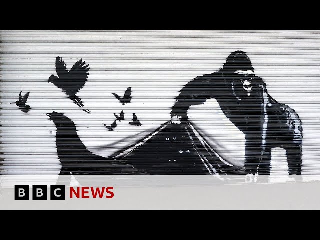 ⁣Banksy’s final work in animal art trail appears on London Zoo gates | BBC News