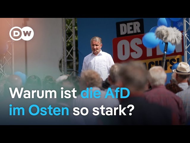 ⁣AfD in Ostdeutschland - Tickt der Osten anders? | DW Nachrichten