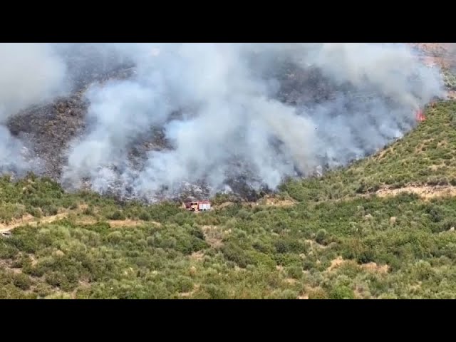 ⁣Wildfires across Tjentište endanger Bosnia's oldest national park as blaze in Albania persists