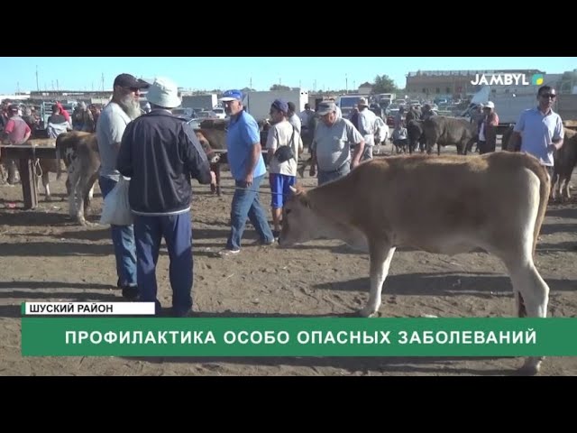 ⁣Профилактика особо опасных заболеваний