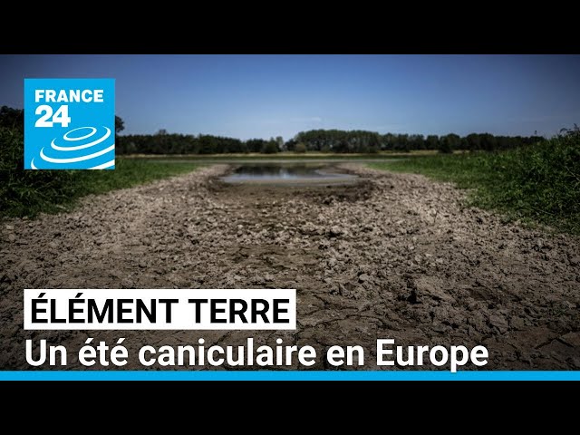 ⁣Un été anormalement chaud s'abat sur l'Europe • FRANCE 24