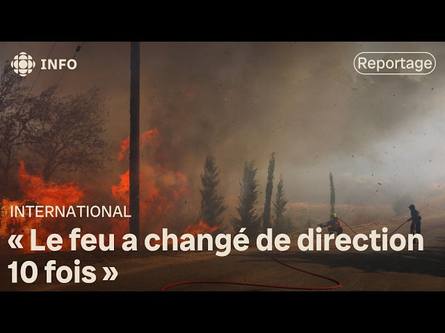 ⁣Feux de forêt en Grèce : premiers progrès dans la lutte contre l’incendie