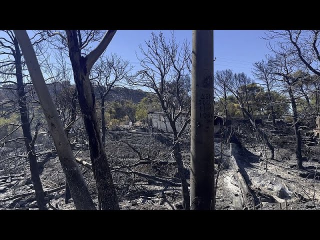 Attika nach dem großen Feuer: ein Bild der Verwüstung