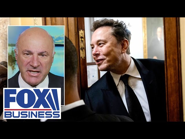 ⁣Kevin O’Leary: Elon Musk in Trump’s cabinet ‘would be a good thing for everybody in America’