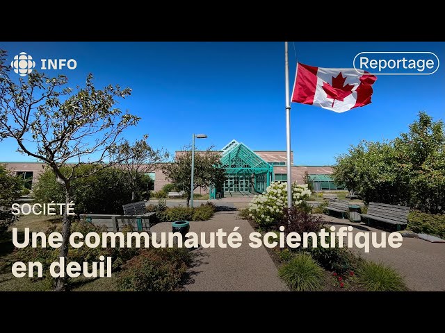 ⁣Crash mortel : la communauté scientifique dans l’Est-du-Québec est en deuil