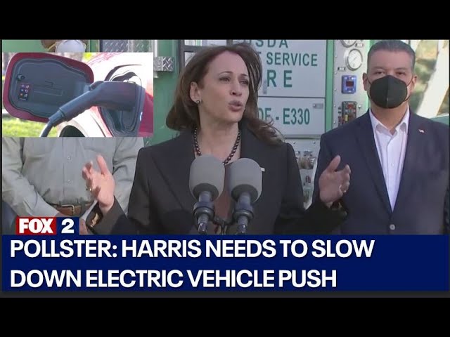 ⁣Michigan pollster says Harris, Dems need to slow down EV demands of buying public