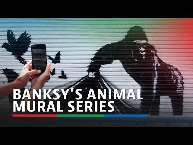 ⁣Latest animal-themed Banksy artwork unveiled at London Zoo