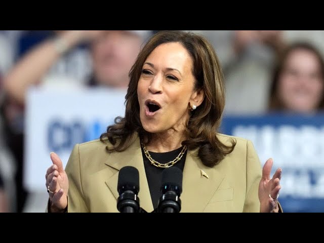 Kamala Harris slammed for supporting open borders in resurfaced clip