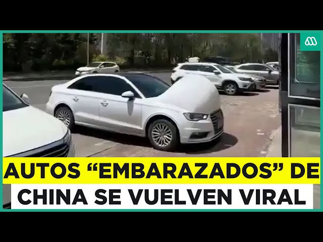 Los curiosos "autos embarazados" o "autos burbuja" que son virales en TikTok