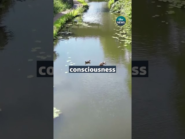 ⁣Cyanide confirmed in Walsall canal after chemical leak #itvnews #walsall