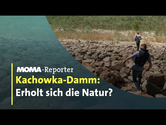 Kachowka-Katastrophe: Wenn die Natur für Wunder sorgt | ARD-Morgenmagazin