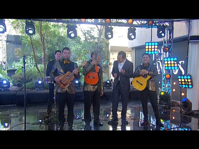 ⁣‘Los Panchos’ Hablan en Entrevista en Despierta sobre su Próximo Concierto en CDMX