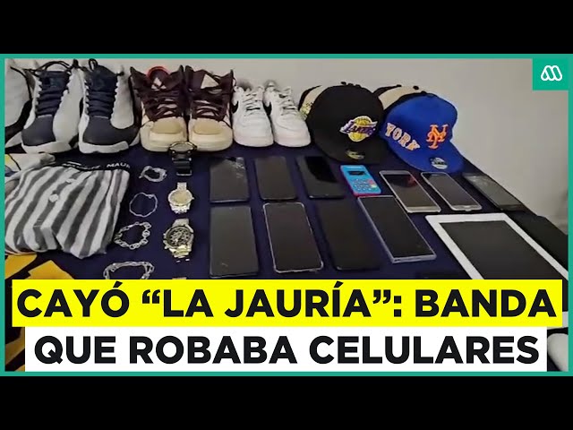 Así cayó banda "La Jauría": Se dedicaban a robar celulares en Providencia